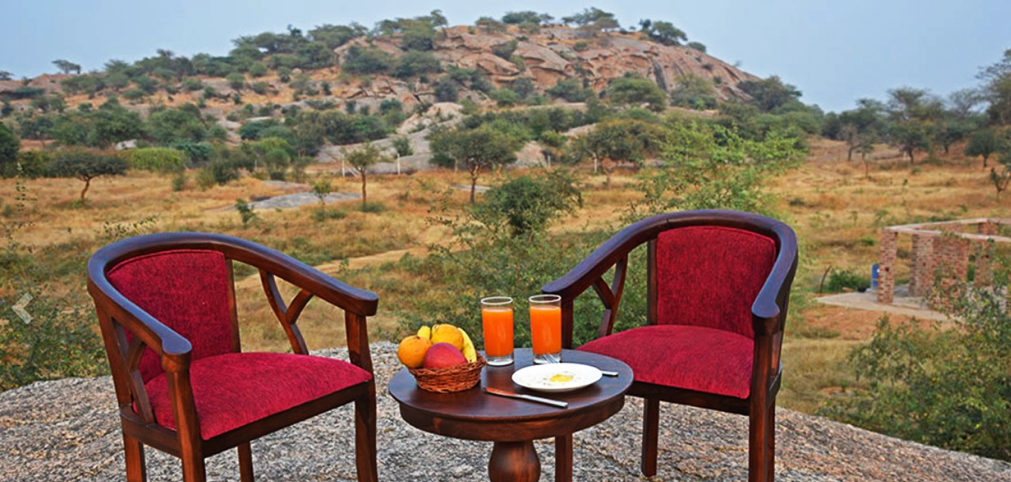 Jawai Leopard Safari